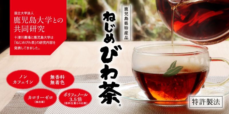 十津川農場 ねじめびわ茶24（2g×24包）の通販 イカワ薬品 本店